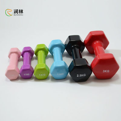 Neon 5lb Free Weight Dumbbells Set สำหรับผู้หญิง Men Training Exercise